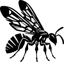 Black and White Wasp Vector Illustration