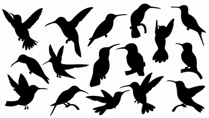 set of hummingbird silhouette vector on white background