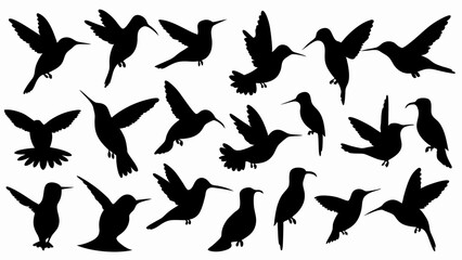 set of hummingbird silhouette vector on white background © Rani