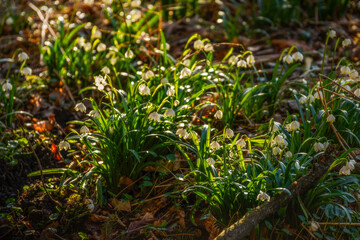 playing with light an shadow - ein Spiel von Licht und Schatten