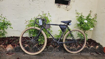 bicicletta d'epoca, eroica