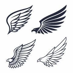 Obraz premium set of vector wings