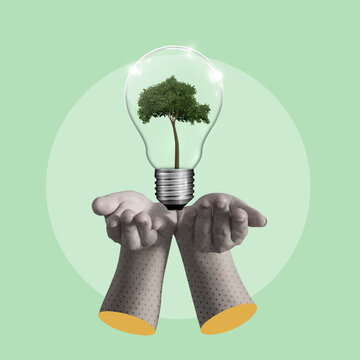 Collage ESG (Environmental, Social, and Governance) principles. Featuring a human hand holding a tree in light bulb . eco-friendly energy systems. vector illustration