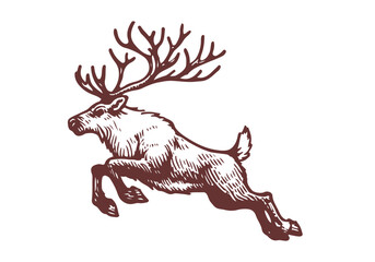 Reindeer hand drawn sketch illustration vector © Shutoda