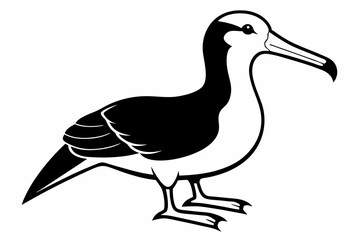 albatross silhouette line art vector illustration