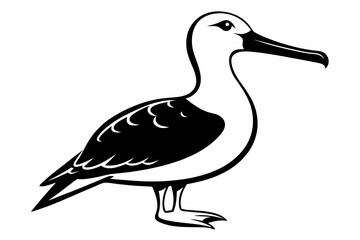 albatross silhouette line art vector illustration