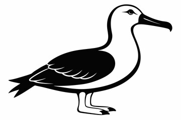 albatross silhouette line art vector illustration