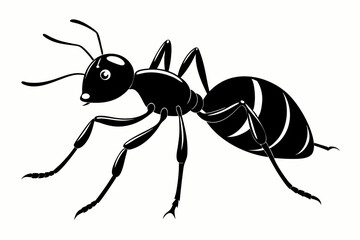 ant vector illustration