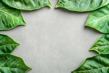 Fototapeta premium Green Leaves Frame: Nature's Beauty