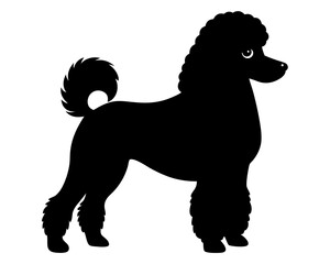 Standard Poodle Dog Silhouette Vector & SVG