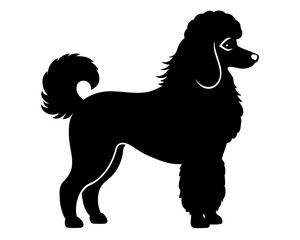 Standard Poodle Dog Silhouette Vector & SVG