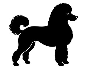 Standard Poodle Dog Silhouette Vector & SVG