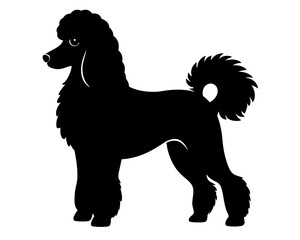 Standard Poodle Dog Silhouette Vector & SVG