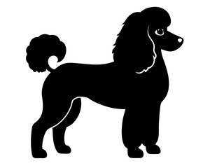 Standard Poodle Dog Silhouette Vector & SVG