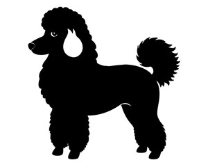 Standard Poodle Dog Silhouette Vector & SVG