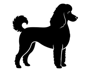 Standard Poodle Dog Silhouette Vector & SVG