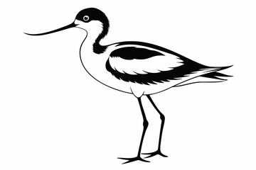 avocet silhouette line art vector illustration