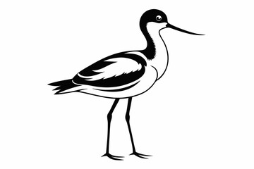 Fototapeta premium avocet silhouette line art vector illustration