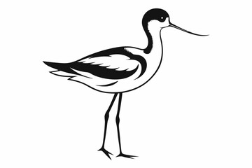 avocet silhouette line art vector illustration