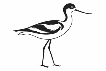 avocet silhouette line art vector illustration
