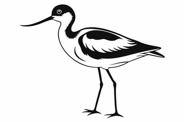 avocet silhouette line art vector illustration