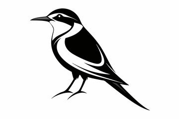 bee eater silhouette line art vector illustration