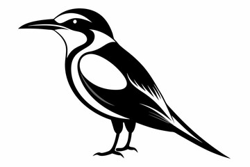 bee eater silhouette line art vector illustration
