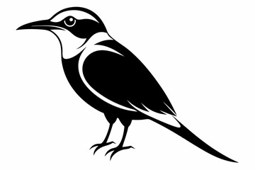 bee eater silhouette line art vector illustration