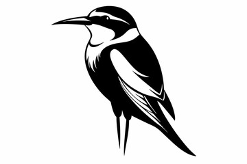 bee eater silhouette line art vector illustration