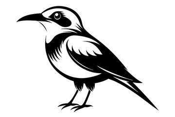 bee eater silhouette line art vector illustration