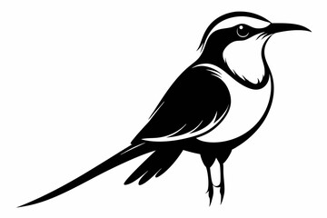 bee eater silhouette line art vector illustration