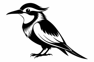 bee eater silhouette line art vector illustration