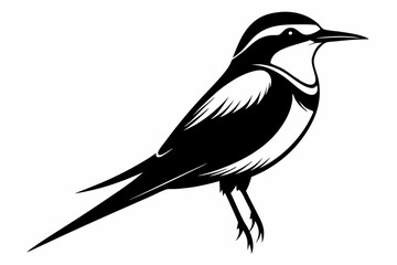 bee eater silhouette line art vector illustration