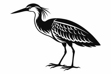 bittern silhouette line art vector illustration