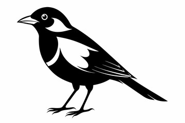 bobolink silhouette line art vector illustration