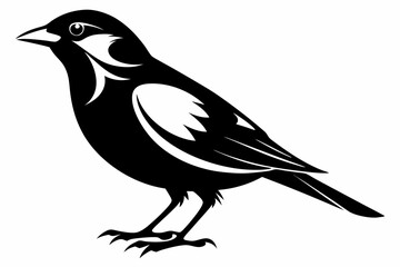bobolink silhouette line art vector illustration