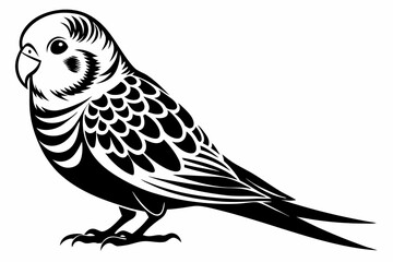 budgerigar silhouette line art vector illustration