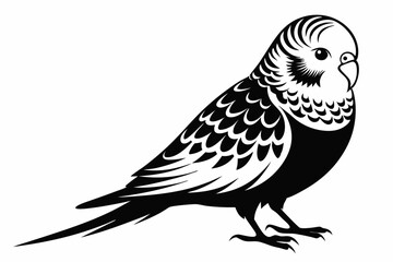 budgerigar silhouette line art vector illustration