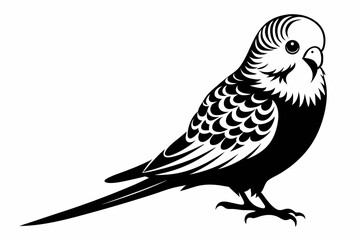 budgerigar silhouette line art vector illustration