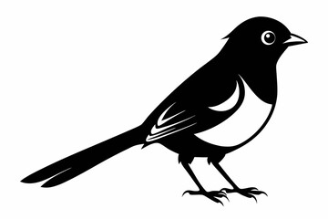 bulbul silhouette line art vector illustration