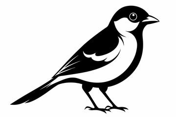 bulbul silhouette line art vector illustration