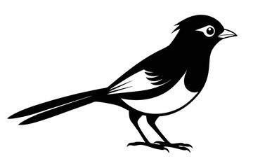 bulbul silhouette line art vector illustration