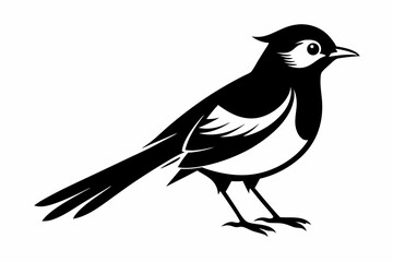 bulbul silhouette line art vector illustration