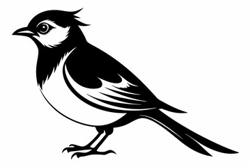 bulbul silhouette line art vector illustration