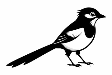 bulbul silhouette line art vector illustration
