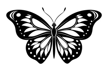 butterfly silhouette line art vector illustration