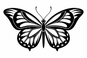 butterfly silhouette line art vector illustration