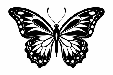 butterfly silhouette line art vector illustration