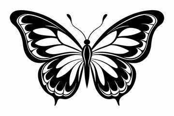 butterfly silhouette line art vector illustration