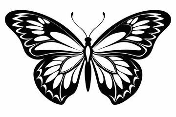 butterfly silhouette line art vector illustration